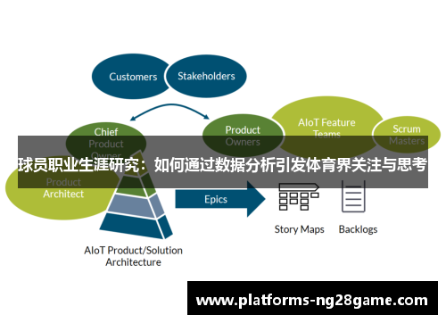 球员职业生涯研究：如何通过数据分析引发体育界关注与思考