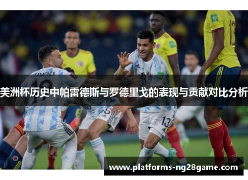 美洲杯历史中帕雷德斯与罗德里戈的表现与贡献对比分析