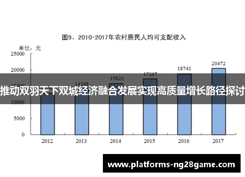 推动双羽天下双城经济融合发展实现高质量增长路径探讨