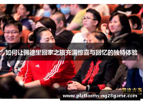 如何让佩德里回家之旅充满惊喜与回忆的独特体验