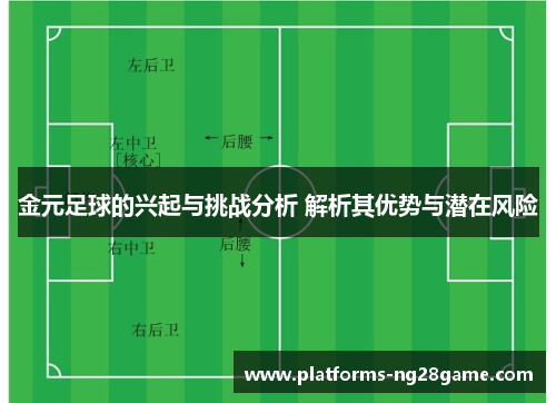 金元足球的兴起与挑战分析 解析其优势与潜在风险