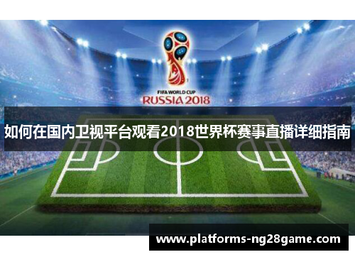 如何在国内卫视平台观看2018世界杯赛事直播详细指南