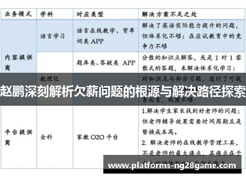 赵鹏深刻解析欠薪问题的根源与解决路径探索