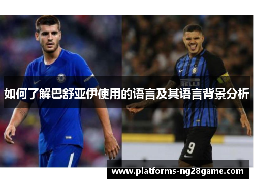 如何了解巴舒亚伊使用的语言及其语言背景分析