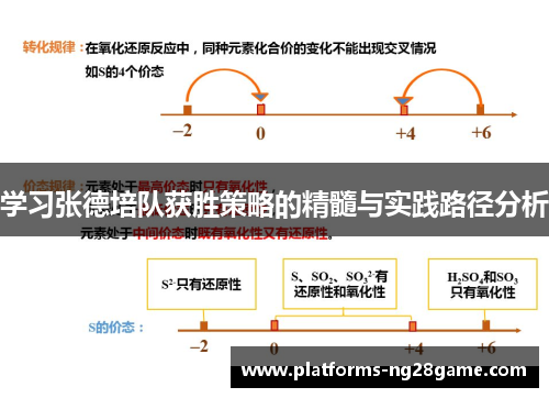 学习张德培队获胜策略的精髓与实践路径分析