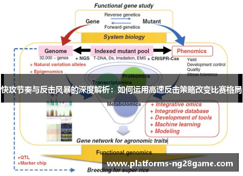 快攻节奏与反击风暴的深度解析：如何运用高速反击策略改变比赛格局