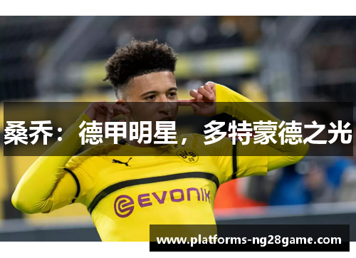桑乔：德甲明星，多特蒙德之光