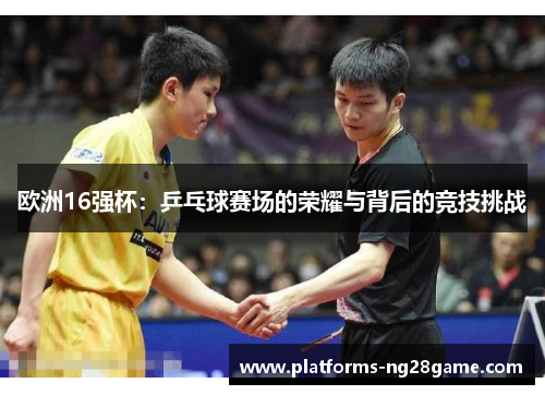 欧洲16强杯：乒乓球赛场的荣耀与背后的竞技挑战