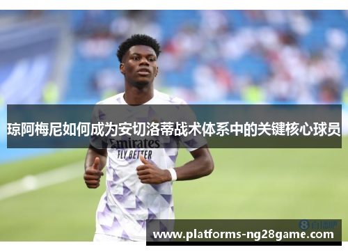 琼阿梅尼如何成为安切洛蒂战术体系中的关键核心球员