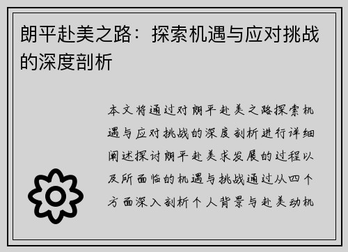朗平赴美之路：探索机遇与应对挑战的深度剖析